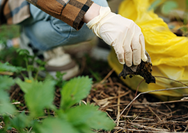 Eco-Friendly Practices