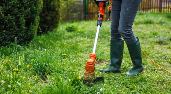Woman,Cutting,Grass,At,Backyard.,Electric,Grass,Trimmer.,Lawn,Care