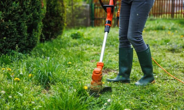 Woman,Cutting,Grass,At,Backyard.,Electric,Grass,Trimmer.,Lawn,Care