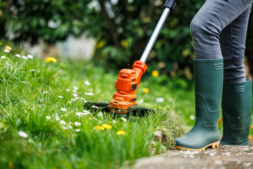 Keep Your Grass Neat, Healthy with Grass Cutting Services in Toronto & GTA