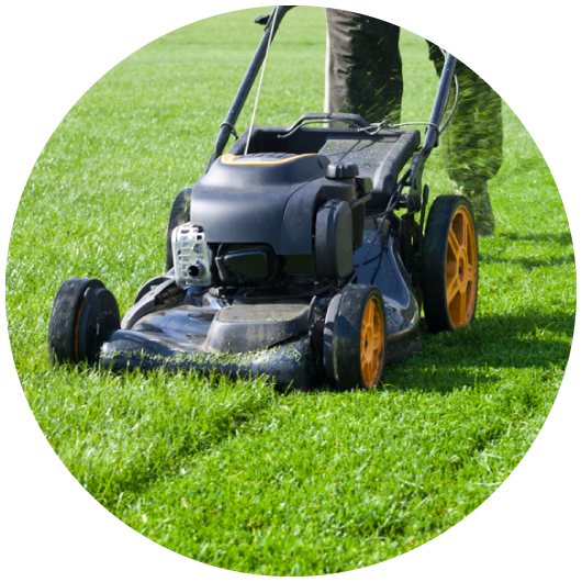 Keep Your Lawn Healthy with Lawn Mowing Services from Maplescape