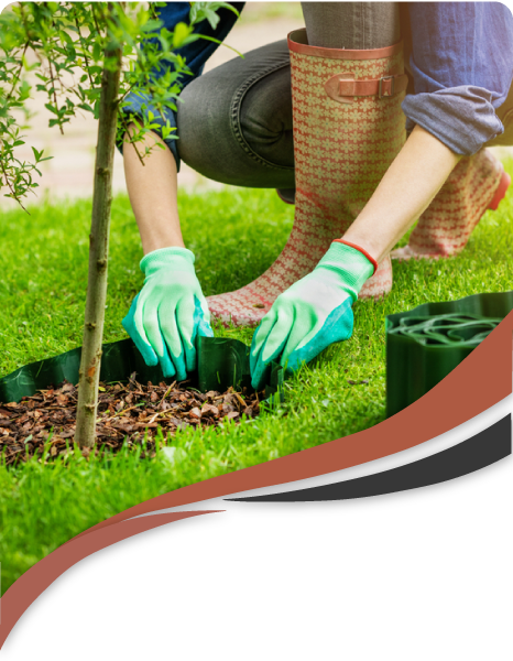 New Our Approach to Landscaping Services to Achieve from Maplescape