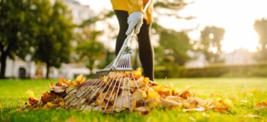 Removal,Of,Leaves,In,The,Autumn,Garden.,Rake,And,Pile