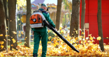 Seasonal Cleanups Image-4