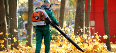 Seasonal Cleanups Image-4