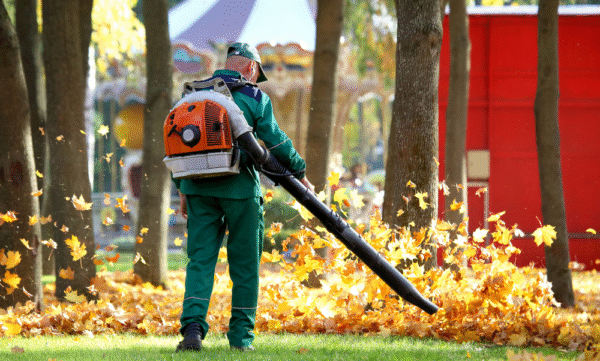 Seasonal Cleanups Image-4