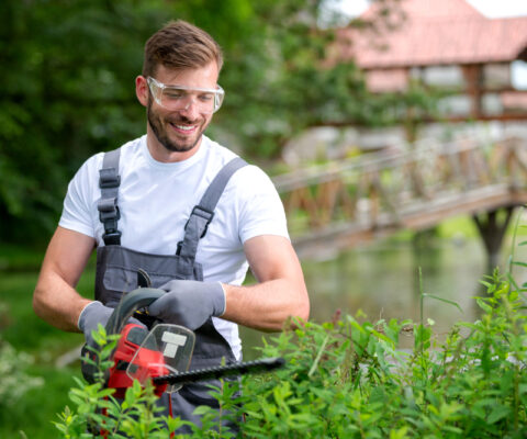 Bush,Trimming,With,Electrically,Powered,Chain,Saw,,Concept,Of,Shrub