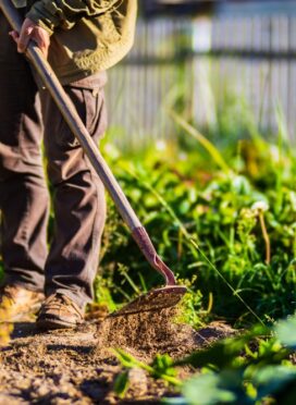Farmer,Cultivating,Land,In,The,Garden,With,Hand,Tools.,Soil