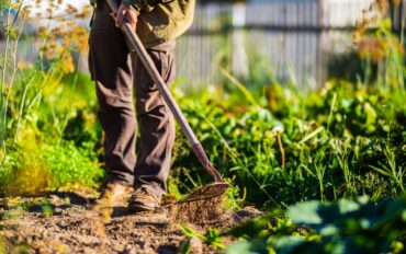 Farmer,Cultivating,Land,In,The,Garden,With,Hand,Tools.,Soil