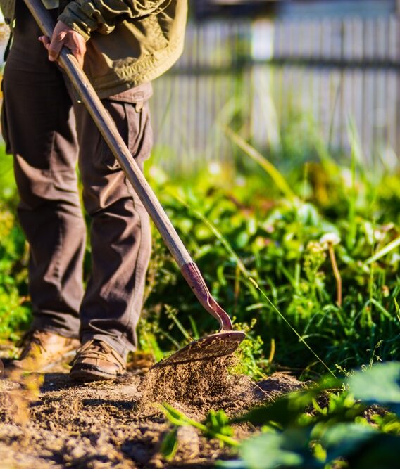 Farmer,Cultivating,Land,In,The,Garden,With,Hand,Tools.,Soil