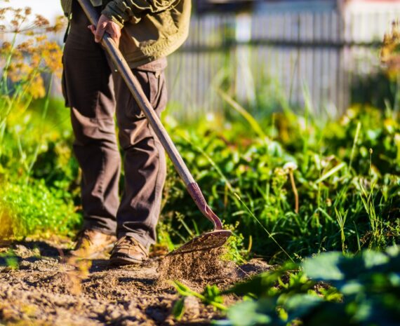Farmer,Cultivating,Land,In,The,Garden,With,Hand,Tools.,Soil