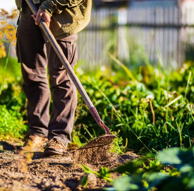 Farmer,Cultivating,Land,In,The,Garden,With,Hand,Tools.,Soil