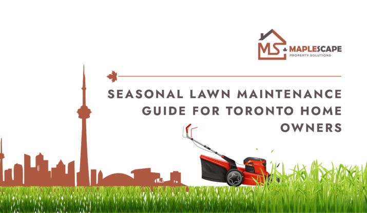 Seasonal Lawn Maintenance Services Guide for Toronto Homeowners - Maplescape Property Solutions