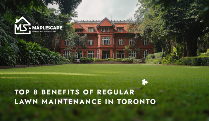 Top 8 Benefits of Regular Lawn Maintenance in Toronto - Maplescape Property Solutions
