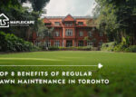 Top 8 Benefits of Regular Lawn Maintenance in Toronto - Maplescape Property Solutions