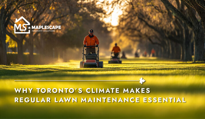 Why Toronto’s Climate Makes Regular Lawn Maintenance Essential - Maplescape Property Solutions