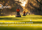 Why Toronto’s Climate Makes Regular Lawn Maintenance Essential - Maplescape Property Solutions