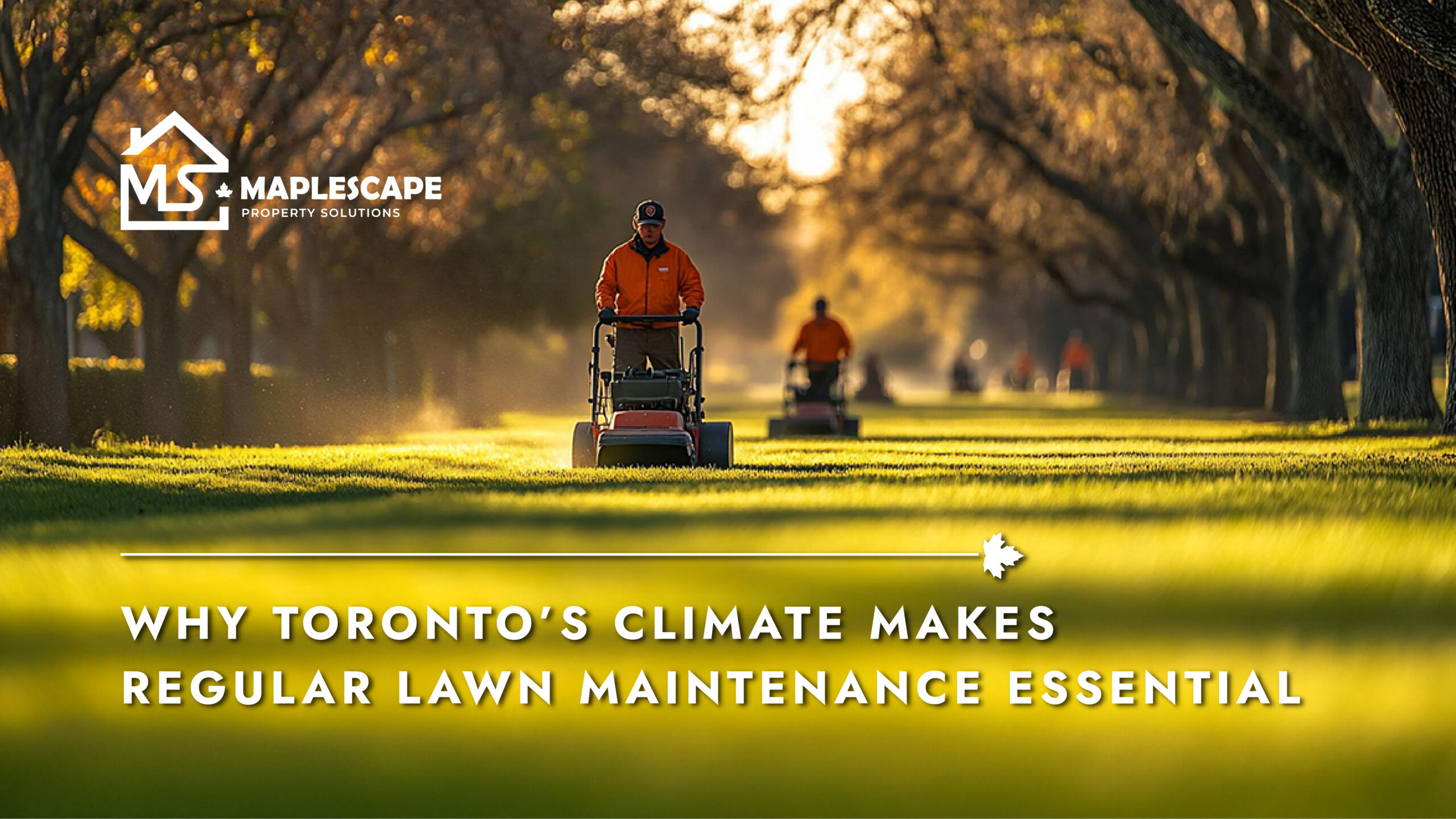Why Toronto’s Climate Makes Regular Lawn Maintenance Essential - Maplescape Property Solutions