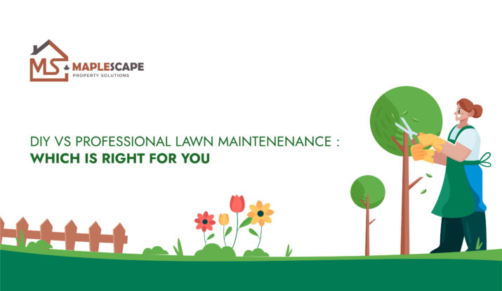 DIY vs Professional Lawn Maintenance Which is Right for You - Maplescape Property Solutions