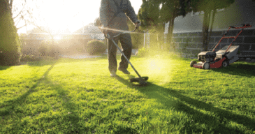 Grass Health Support