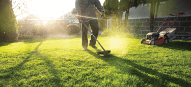 Grass Health Support