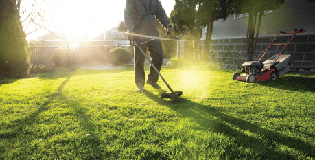 Grass Health Support