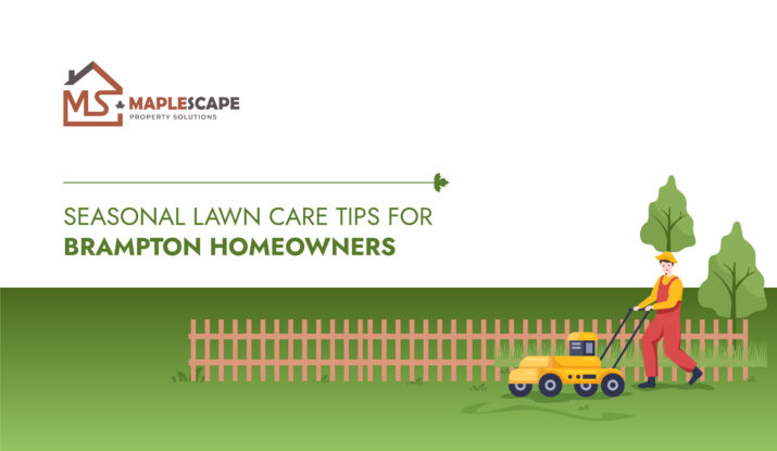 Seasonal Lawn Care Tips for Brampton Homeowners - Maplescape Property Solutions