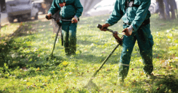 Seasonal Lawn Preparation