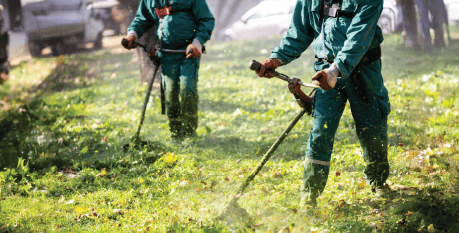 Seasonal Lawn Preparation