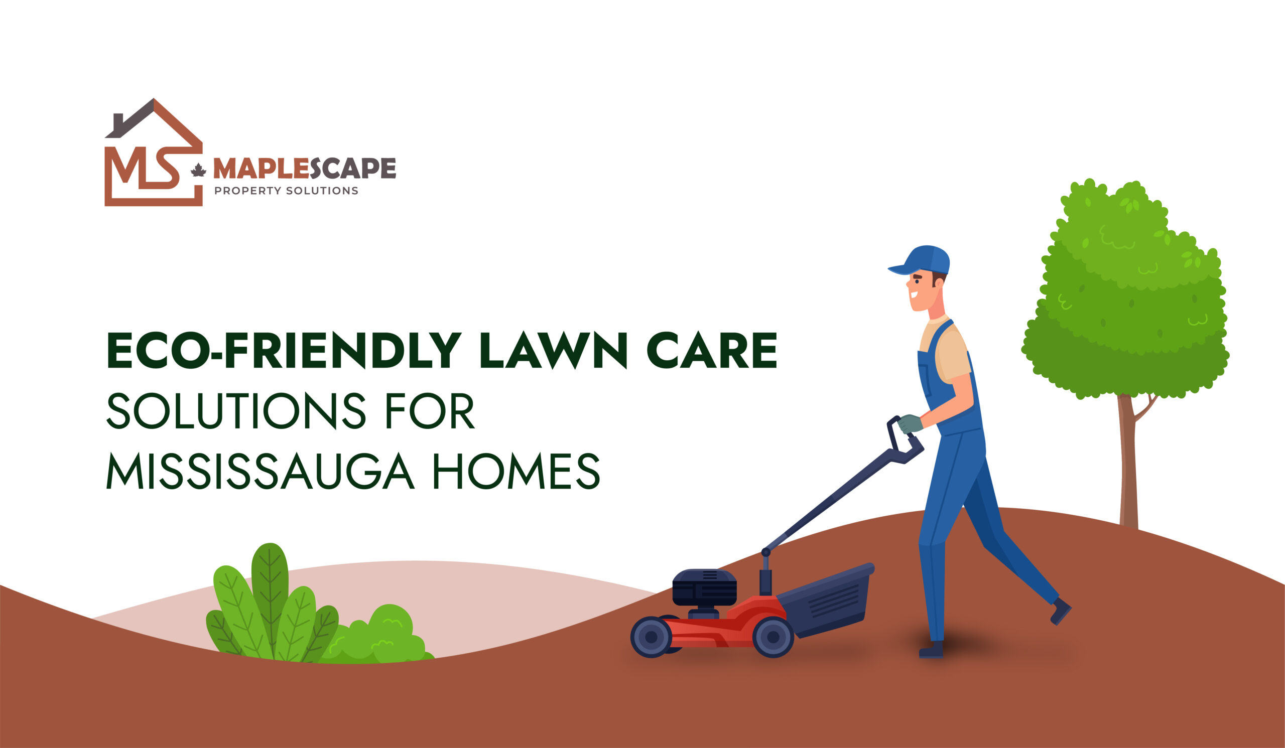 Eco-Friendly Lawn Care Solutions for Mississauga Homes - MapleScape Property Solutions
