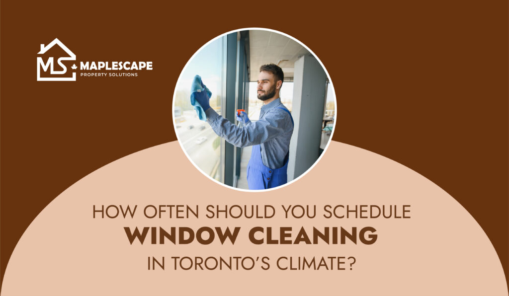 Window Cleaning in Toronto: Ideal Schedule: MapleScape