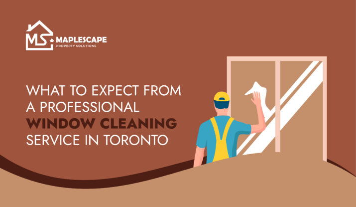 What to Expect from a Professional Window Cleaning Service in Toronto - MapleScape Property Solutions