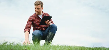 Basic Lawn Health Check