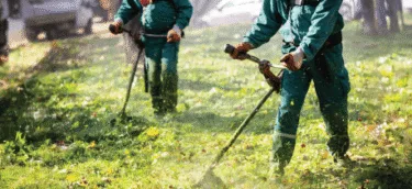 Lawn Cleanup & Debris Removal