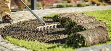 Seasonal Lawn Preparation
