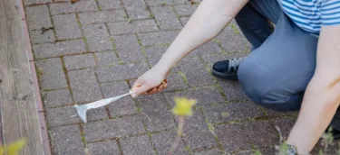 Clean,Grout.,Gardening,And,Pavement,Maintenance.,Pulling,Weeds,Out,Of