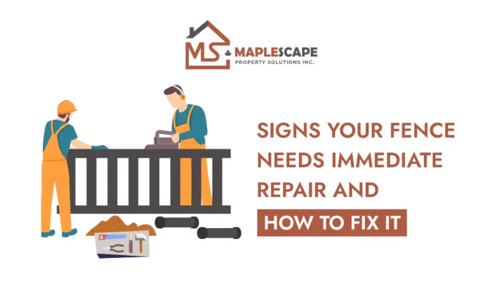 Signs Your Fence Needs Immediate Repair and How to Fix It