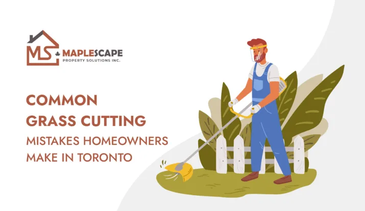 Common Grass Cutting Mistakes Homeowners Make in Toronto - MapleScape Property Solutions Inc
