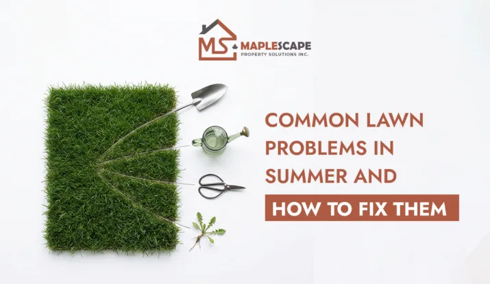 Common Lawn Problems in Summer and How to Fix Them - MapleScape Property Solutions Inc