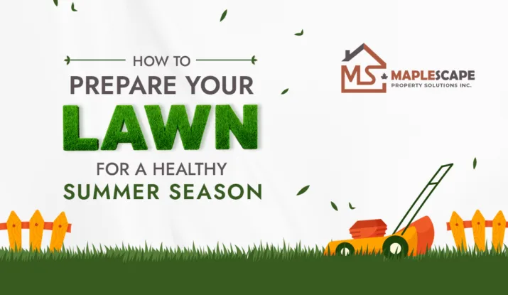 How to Prepare Your Lawn for a Healthy Summer Season - MapleScape Property Solutions Inc