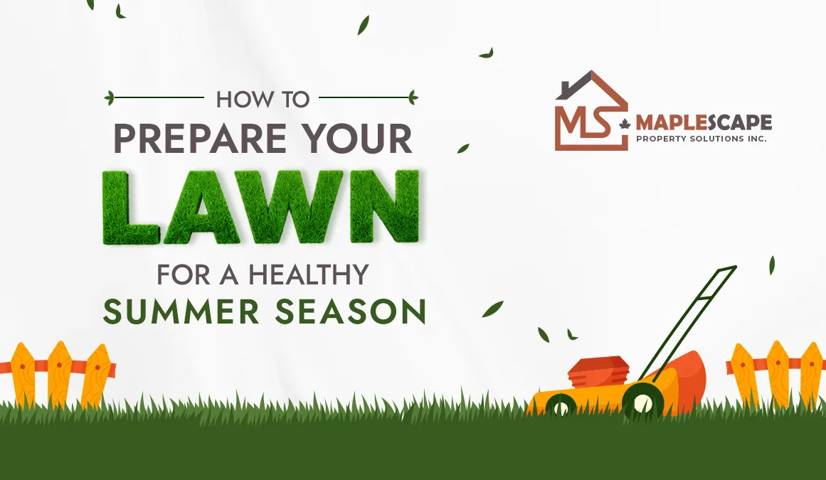 How to Prepare Your Lawn for a Healthy Summer Season - MapleScape Property Solutions Inc