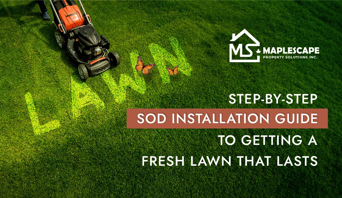 Step-by-Step Sod Installation Guide to Getting a Fresh Lawn That Lasts